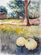 Nachlese nach-der-Ernte