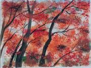 Oktoberfarben oktober